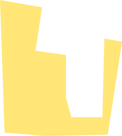 b1