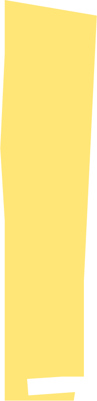 b1
